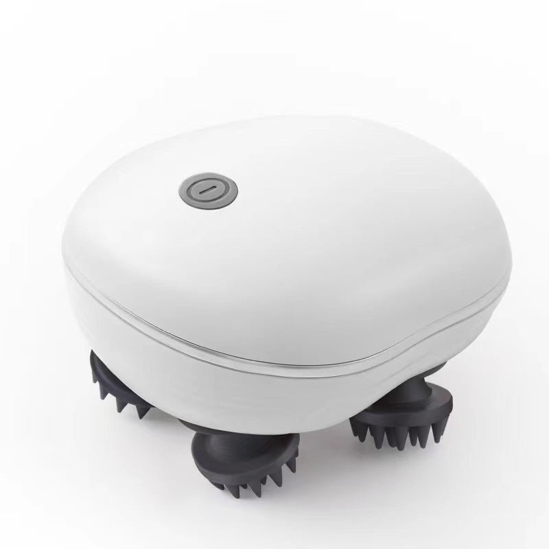 Massage Pet Électrique